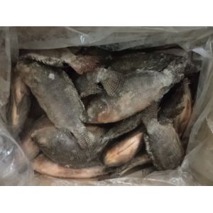 Buy cheap Fresh Frozen tilapia gutted and scaled from wholesalers