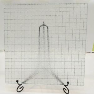 Clear Chicken Fire Proof Wire Mesh Glass With Customized Size From Building