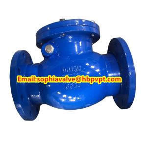 BS5153 PN16 cast iron swing check valve