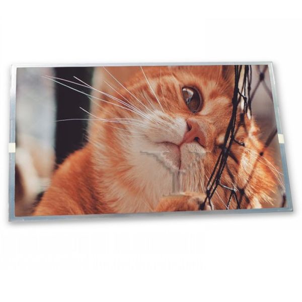 Buy cheap 5.7-Inch FG050720DSSWDGT1 WLED TFT LCD Display Module 640*480 Resolution Specific Application Suitable OLED Modules ODM Supplier from wholesalers