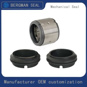 M74D M74F 20mm-100mm G60 G4 G6 G9 G13 G16 BS Bo BP Pump Mechanical Seal