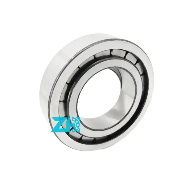 Quality Cylindrical Roller Hydraulic Pump Bearing F-203740 25x54x21mm Single Row for sale