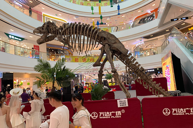 Buy cheap Artificial Simulation Complete Dinosaur Fossil Model Customization Support product