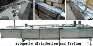 Automatic Chocolate Flow Packaging System