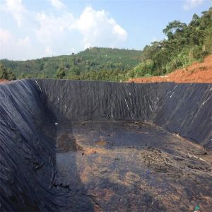 Buy cheap 50-200m Length HDPE Geomembrane Plastic Liner for Shrimp Farming Pond Lining Solution from wholesalers