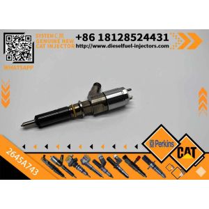 High Quality New Fuel System Parts Diesel Fuel Injector 2645A743 for Cat C6.6