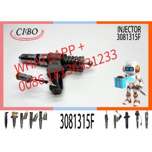 Diesel Fuel Injector 3081315 3073995F 3083846T 3083848F 3411766F 3080931F