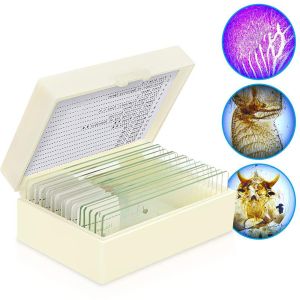 Buy cheap Highly Transparent Human Pathology Slides , Biological Laboratory Glass Slides product