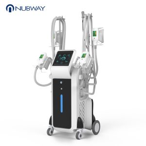 CE / FDA approved 4 cryo handles cold body sculpting criolipolisis machine for