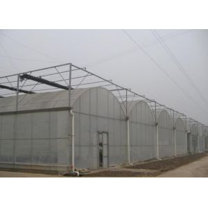Buy cheap Complete Multi Span Plastic Film Greenhouse With Heating / Cooling System from wholesalers