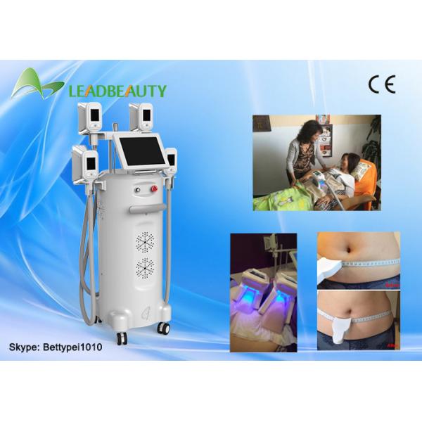 Quality 12 inch luxury champagne color medical use cryolipolysis body contouring machine for sale