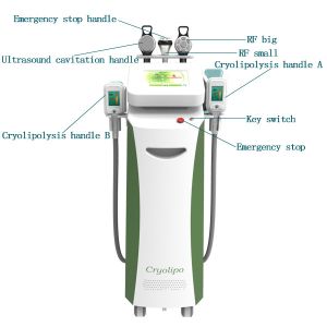 Buy cheap Cryolipolysis Slimming Machine / Zeltip coolingsculpting slimming machine from wholesalers