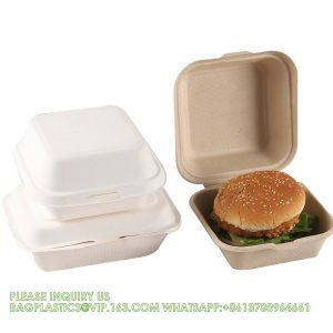 Sugarcane Pulp Clamshell Bagasse Takeout Bento Lunch Box Food Container For