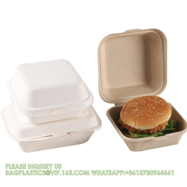 Sugarcane Pulp Clamshell Bagasse Takeout Bento Lunch Box Food Container For
