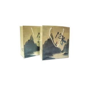 Buy cheap Spot Uv / Hot-Stamping Paper Gift Bags With Handles, Paper Food Packaging For Promotion from wholesalers