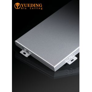 Customized Outer Wall Single Aluminum Veneer with Irregular Curved Shape