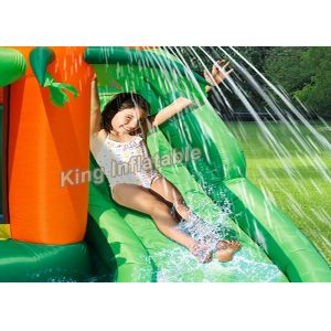 Tropical Play Center Jump Castle / Inflatable Water Slide For Kids In Summer