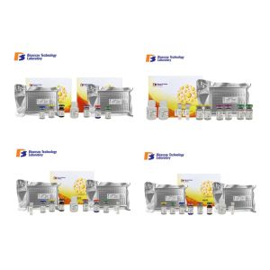 Buy cheap Customized Human Sandwich Immunosorbent Assay Kit CRBN For Accurate Quantitative Detection from wholesalers