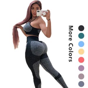 [Free Sample] Yoga Pants Womens Leggings seamless Apparel Processing Services