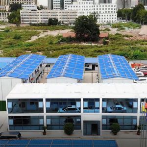 Professional Design Flat Pack Container House with Customized Color and Ready to