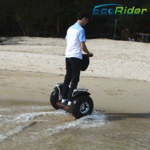 Buy cheap ESOII Electric Chariot X2  Lithium Battery Electric Scooter Free Standing from wholesalers