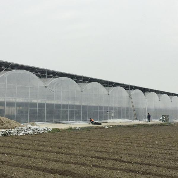 Buy cheap Inner Shading System Side Ventilation Multi Span Greenhouse Automatic Control from wholesalers