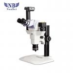 Buy cheap Laboratory Medical Laboratory Microscope , Study Grade Stereo Microscope from wholesalers
