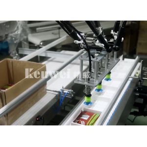 Bag Packing machine With Parallel Manipulator for Carton