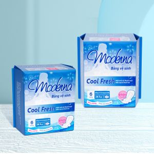 Customized Manufacturers Soft Ultra Thin Sanitary Napkins Private Label Sanitary