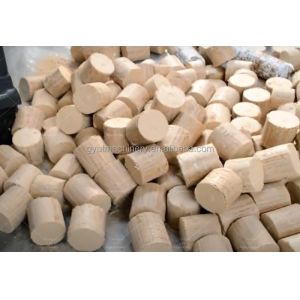 High Press Firewood Sawdust Briquette Machines Hydraulic Customized Briquetting