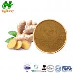 Buy cheap Yellow Powder Ginger Extract Ginger Root Extract Gingerol CAS 84696-15-1 from wholesalers