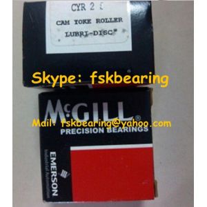 Custom-Made Needle Roller Bearings Catalog with Axial Plain Washers