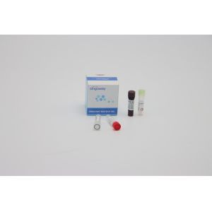 Buy cheap Oral Swab Sample Quantitative Multiplex PCR Reaction Reagents ISO13485 from wholesalers