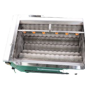 fruit washing machine vegetable potato ginger cassava washing and peeling
