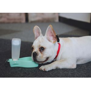 Buy cheap High Visibility Nylon Reflective Dog Collars And Leashes Waterproof from wholesalers