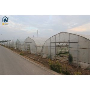 China Arched Temperature Control Tunnel Green Houses With Outside Shading System on sale