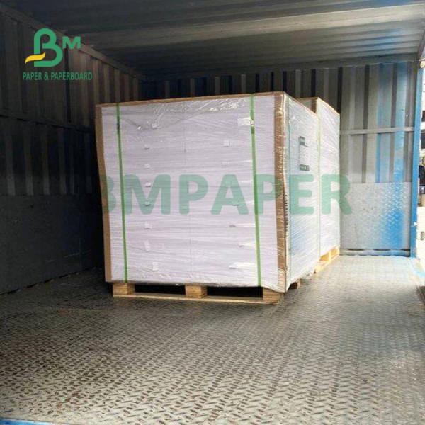 210gsm+15gsm Cup PE Film Coated Paper Good Brightness 615mm X 850mm 210gsm+15gsm Cup PE Film Coated Paper Good Brightness 615mm X 850mm