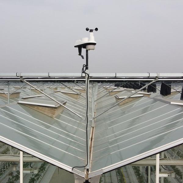 GPRS And 433M Local Wireless Greenhouse Intelligent Control System Weather