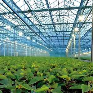 Buy cheap UV-Resistant PC Sheet Venlo-Type Greenhouse Equipped with Ebb-and-Flow Seedbeds and Humidity Regulation Systems from wholesalers