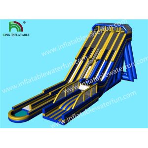 Multiple Lanes Single Ladder Height 15m Giant Inflatable Slide