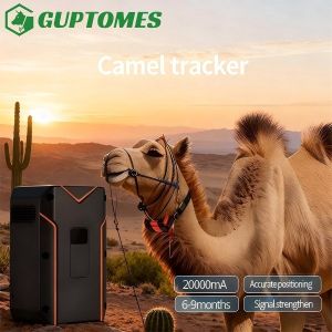 China Voice Intercom Camel Tracking Device With Geo Fencing Real Time Historical Trajectory on sale