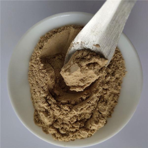 Buy cheap Radix Polygoni Mulitiflori P.E From China Factory from wholesalers