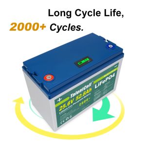 Stable 100A Waterproof Lifepo4 Battery , Practical Lithium Ion Iron Phosphate