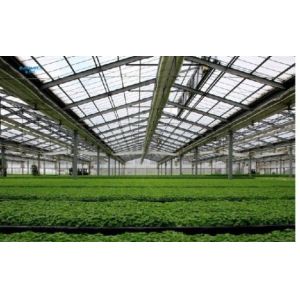 Buy cheap Galvanized Steel Pipe Automatic Venlo Glass Greenhouse For Botanical Garden from wholesalers