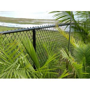 Wire Mesh Fence/Wire Fencing /PVC Coated Chain Link Fence