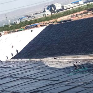 Double Smooth Surface 1mm HDPE Geomembrane for Circular Tanks and Dams in Mine