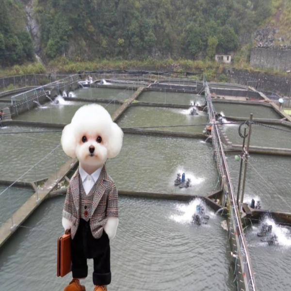 Quality Made Blowing Machine Producing Waterproof HDPE Geomembrane with 100% Virgin Material for sale