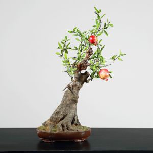 Buy cheap Height 65cm Artificial Potted Floor Plants Pomegranate Tree Corner Table Decoration from wholesalers