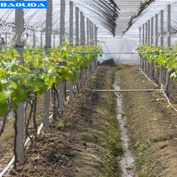 Quality Greenhouse Drip Tape System Warehouses 16mm Pipe Greenhouse Irrigation System for sale