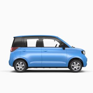 300km Long Range High Speed Blaval Mini EV Auto Electric Mini Car with Touch